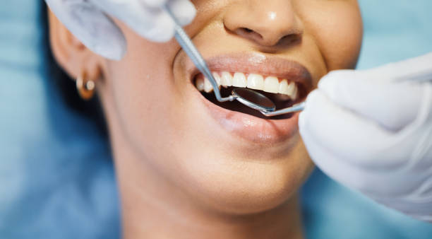 Best Emergency Orthodontic Repairs in Freeburg, IL