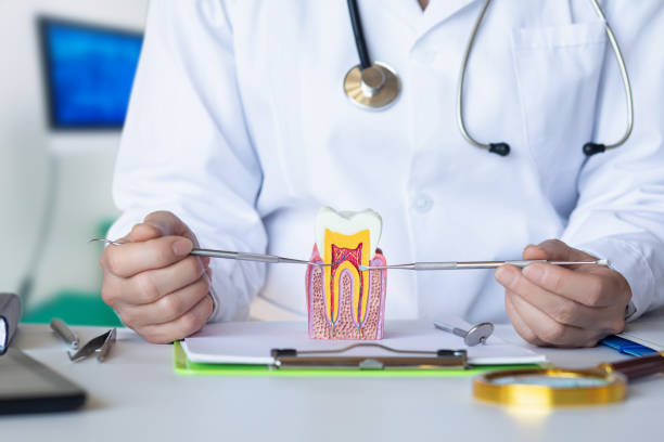 Best Emergency Broken Tooth Repair in Freeburg, IL